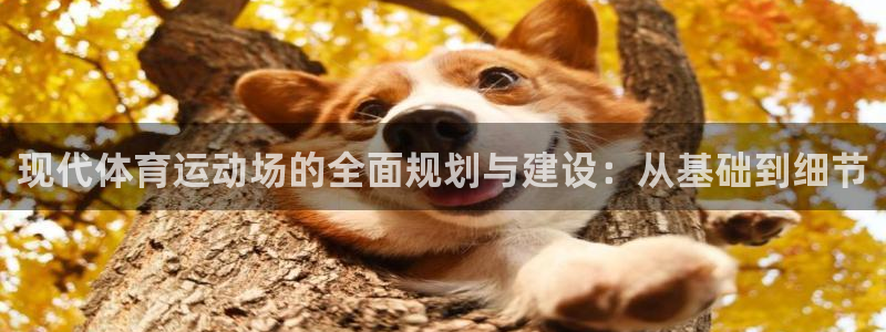 风速体育：现代体育运动场的全面规划与建设：从基础到细节