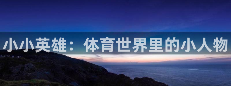 风速体育app：小小英雄：体育世界里的小人物