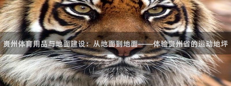 风速体育nba免费直播：贵州体育用品与地面建设：从地面到地面——体验贵州省的运动地坪