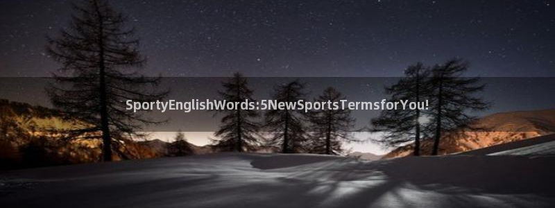 风速体育下载：SportyEnglishWords:5NewSportsTermsforYou!