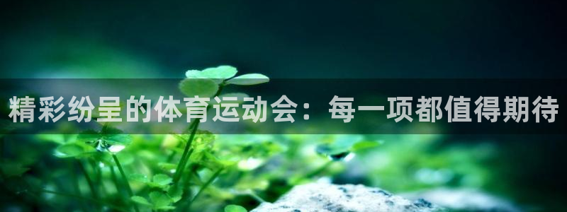 风速体育下载：精彩纷呈的体育运动会：每一项都值得期待