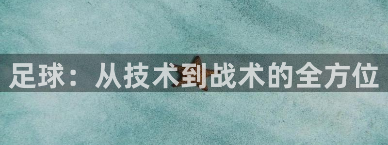 风速体育官网：足球：从技术到战术的全方位