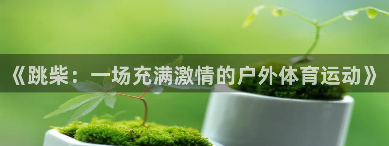 风速体育cba直播：《跳柴：一场充满激情的户外体育运动》