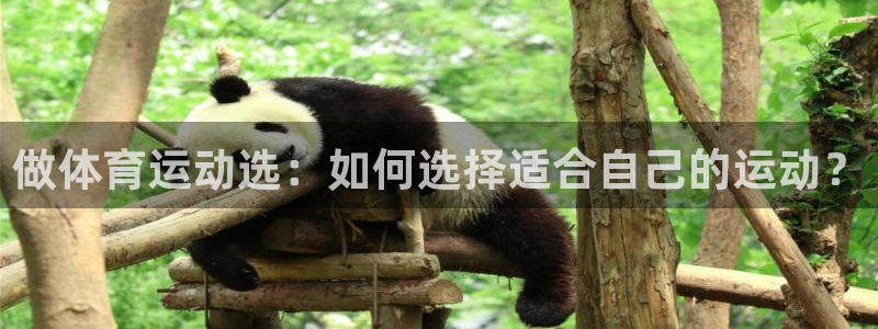 风速体育cba直播