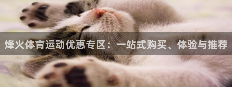 风速体育