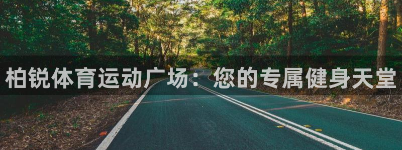 风速体育下载