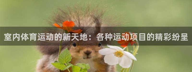 下载风速体育
