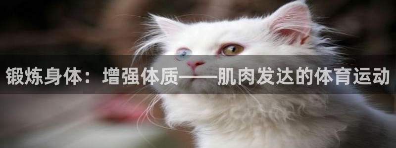 风速体育官网：锻炼身体：增强体质——肌肉发达的体育运动