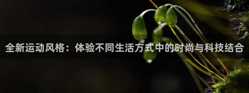 风速体育nba免费直播