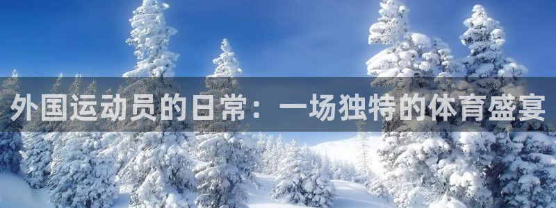 风速体育